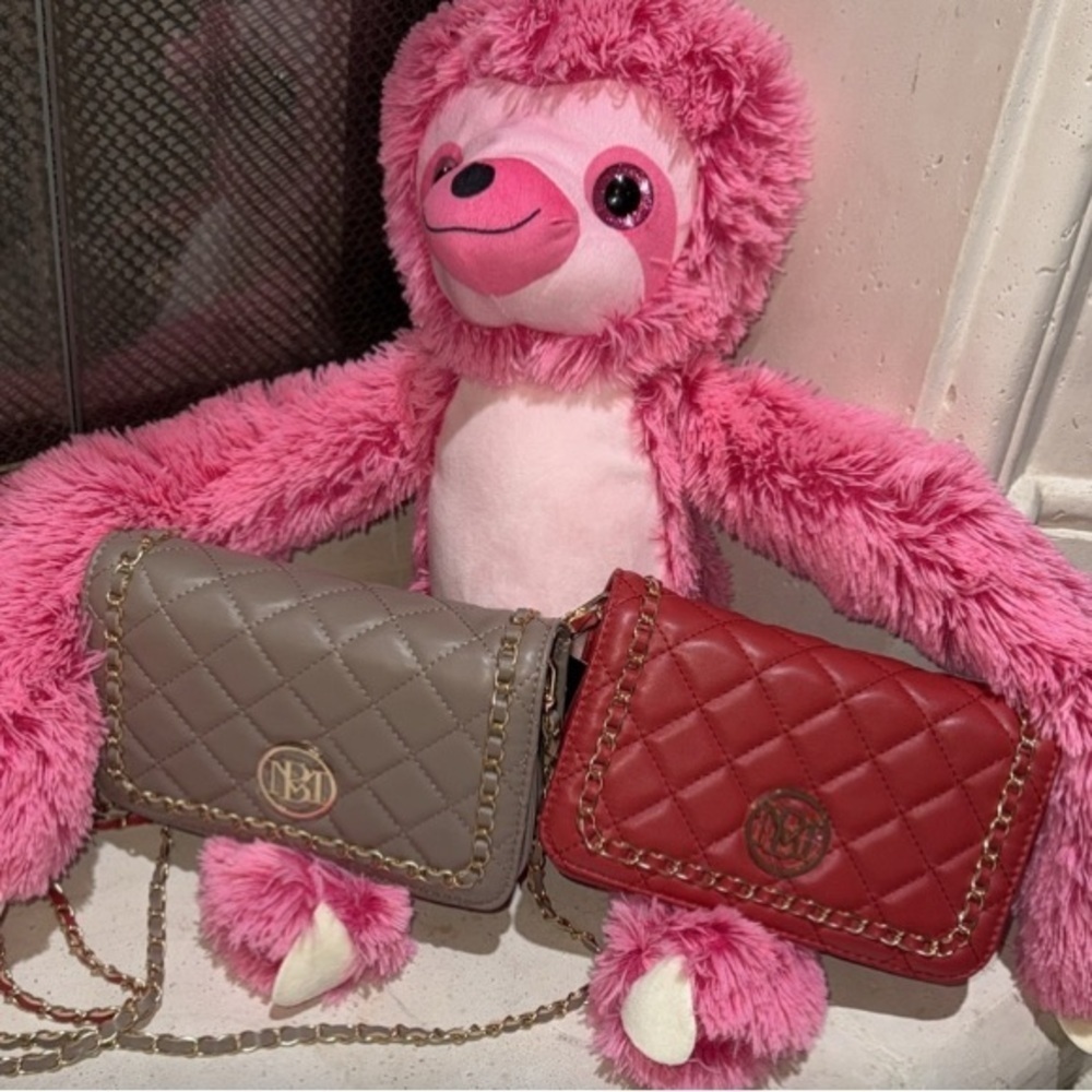 BADGLEY MISCHKA CROSSBODY BAG NWT RED OR PUTTY
